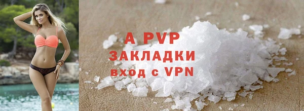 шишки Верея