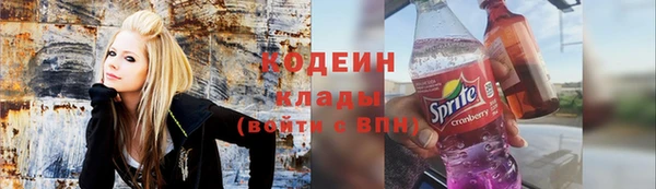 шишки Верея