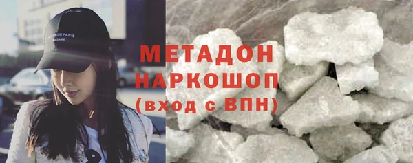 шишки Верея