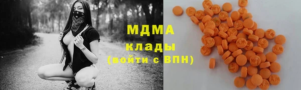 шишки Верея