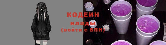 шишки Верея