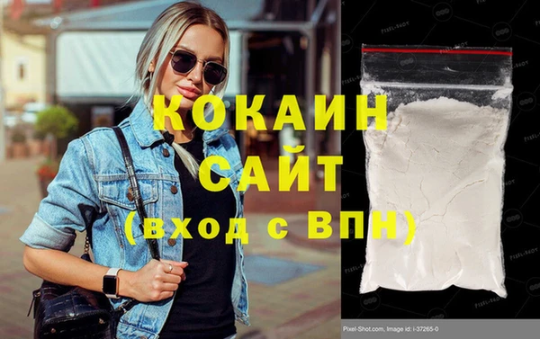 шишки Верея