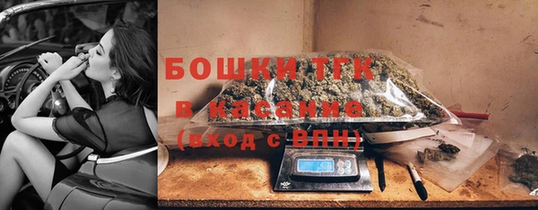шишки Верея