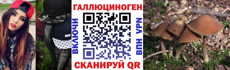 Галлюциногенные грибы ЛСД Грозный